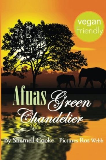 Afua's Green Chandelier: The people of Tulinagwi Village Were Never The Same Because Of Afua