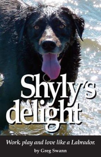 Shyly's delight: Work, play and love like a Labrador.