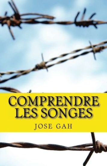 Comprendre Les Songes