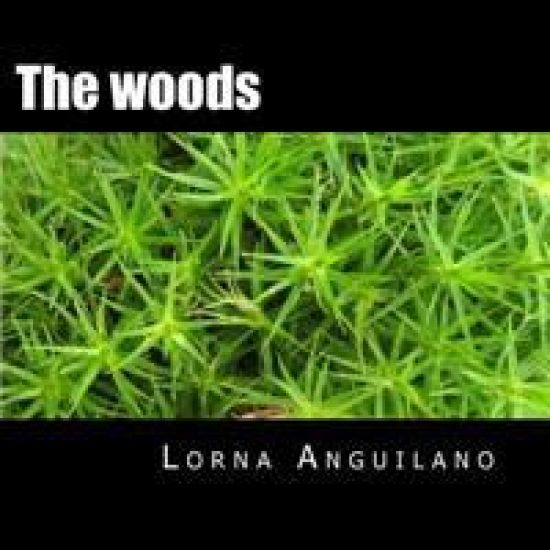 The woods: A close look under the trees