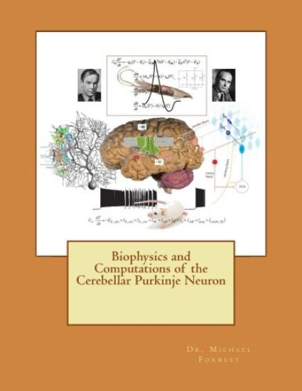 Biophysics and Computations of the Cerebellar Purkinje Neuron