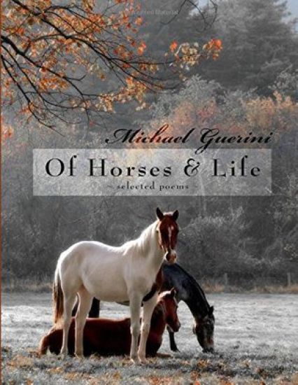 Of Horses & Life