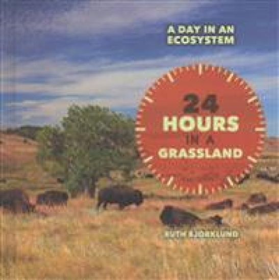 24 Hours in a Grassland