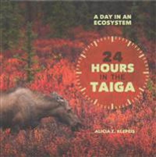 24 Hours in the Taiga