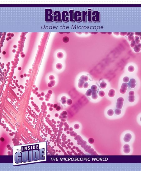 Bacteria Under the Microscope