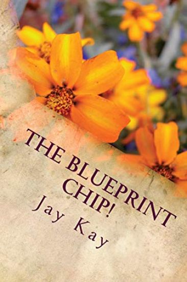 The Blueprint Chip!: Adventure, Action, Thriller
