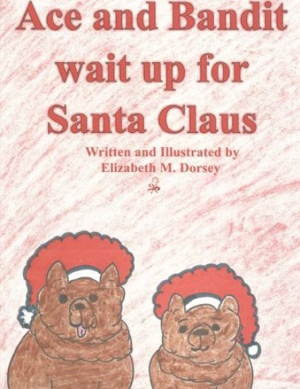 Ace and Bandit wait up for Santa Claus