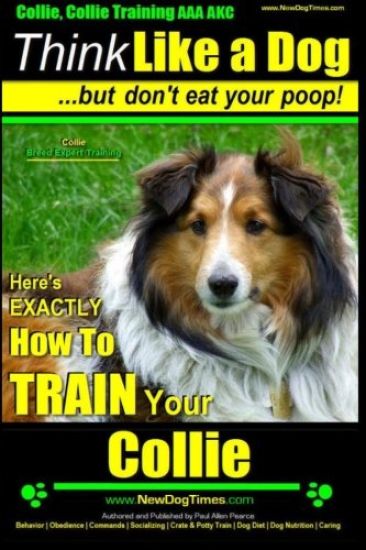 Collie, Collie Training AAA AKC Think Like a Dog But Don't Eat Your Poop! Collie Breed Expert Training: Here's EXACTLY How To TRAIN Your COLLIE