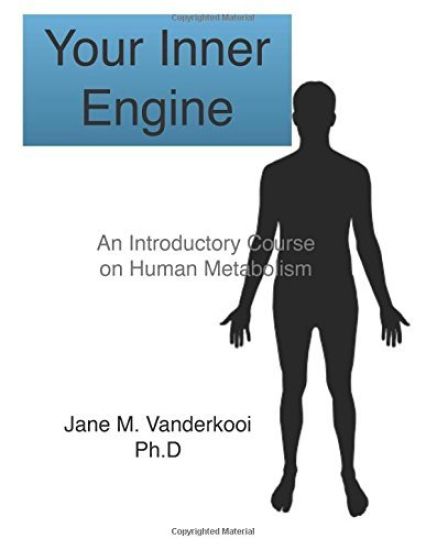 Your Inner Engine: An introductory course on human metabolism