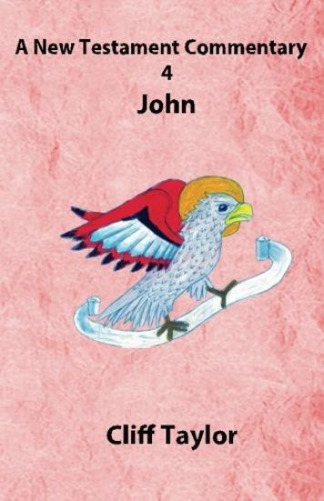 New Testament Commentary - 4 - John