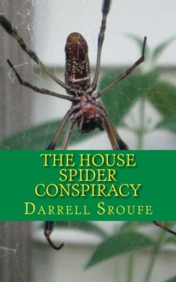 The House Spider Conspiracy