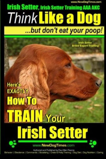 Irish Setter, Irish Setter Training AAA AKC: Think Like a Dog But Don't Eat Your Poop! Irish Setter Breed Expert Training: Here's EXACTLY How to Train
