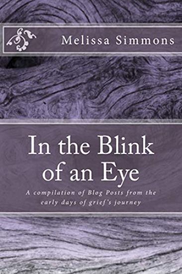 In the Blink of an Eye: A Compilation of Blog Posts from the Early Days of Grief's Journey