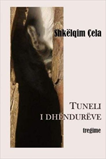 Tuneli I Dhendureve