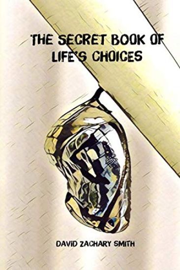The Secret Book of Lifes Choices
