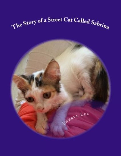 The Story of a Street Cat Called Sabrina