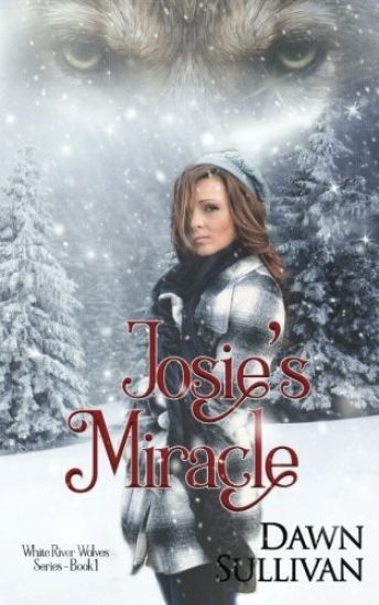 Josie's Miracle