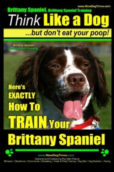 Brittany Spaniel, Brittany Spaniel Training Think Like a Dog But Don't Eat Your Poop! Brittany Spaniel Breed Expert Training: Here's EXACTLY How To TR