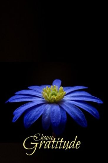 Choose Gratitude