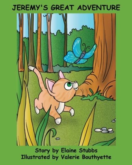 Jeremy's Great Adventure