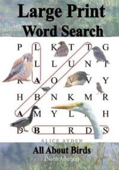 Large Print Word Search