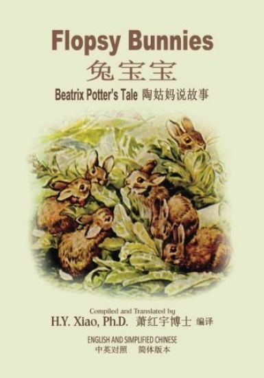 Flopsy Bunnies (Simplified Chinese): 06 Paperback Color