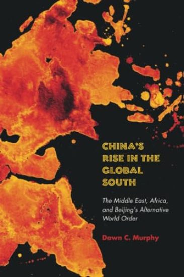 China's Rise in the Global South