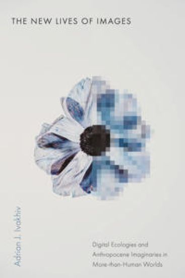 The New Lives of Images