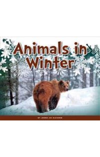 Animals in Winter