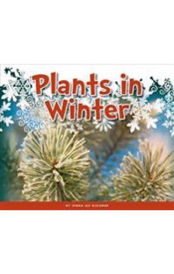 Plants in Winter