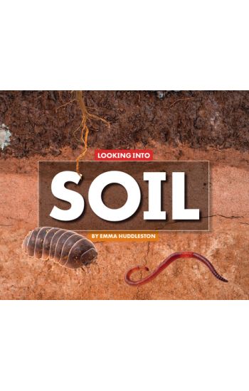 Looking Into Soil