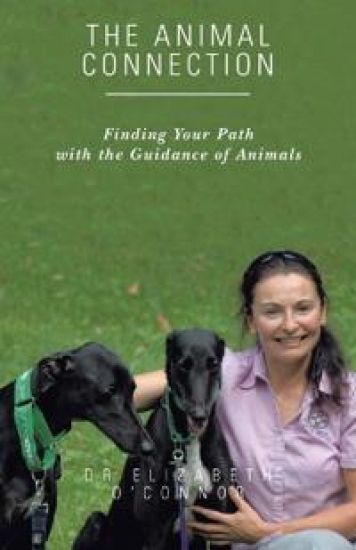 The Animal Connection
