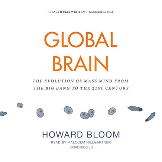 Global Brain Lib/E: The Evolution of Mass Mind from the Big Bang to the 21st Century