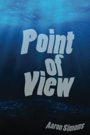 Point of View