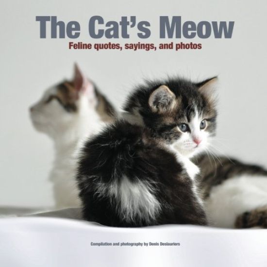 The Cat's Meow: Feline quotes, sayings, and photos