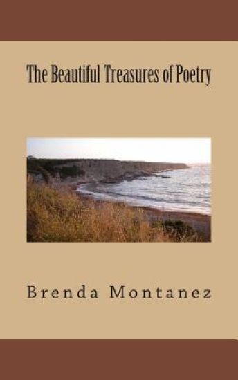 The Beautiful Treasures of Poetry
