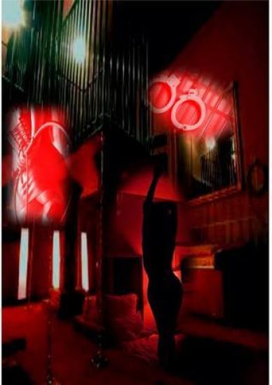 Night's Playground: Nocturnal Naughtiness