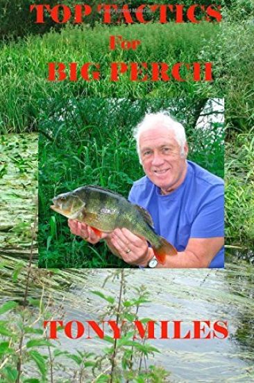 Top Tactics for Big Perch