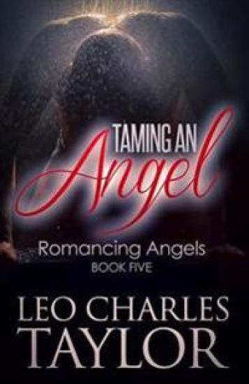 Taming An Angel