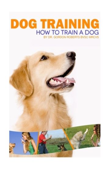 Dog Training: How to train a dog