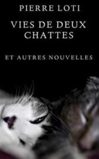 Vies de deux chattes