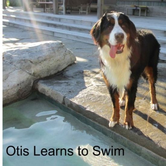Otis Learns to Swim