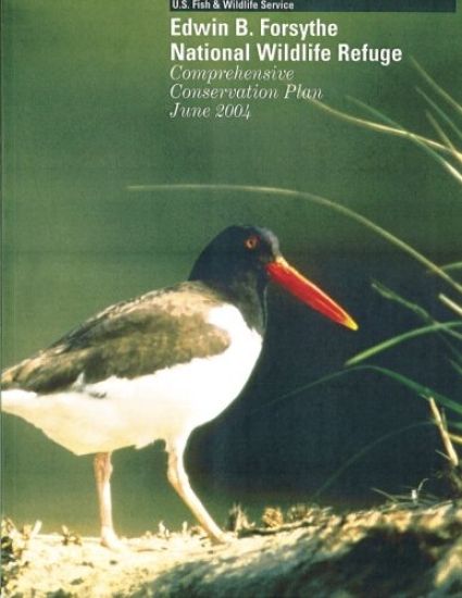Edwin B. Forsythe National Wild Refuge: Comprehensive Conservation Plan June 2004
