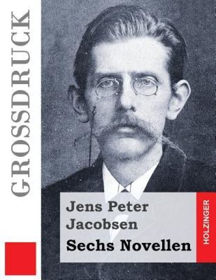 Sechs Novellen (Großdruck)