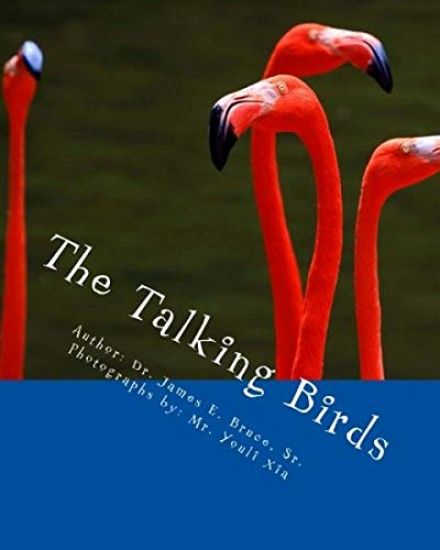 The Talking Birds: The birds that don't build nests; they build character.