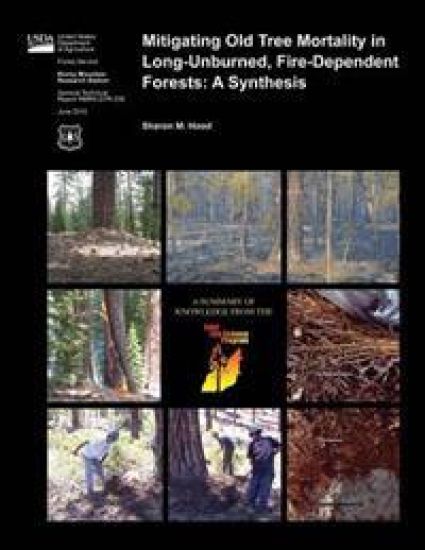 Mitigating Old Tree Mortality in Long-Unburned, Fire-Dependent Forests: A Synthesis