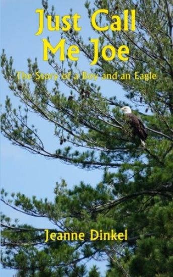 Just Call Me Joe: The Story of a Boy and an Eagle