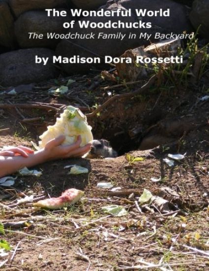 The Wonderful World of Woodchucks: The Woodchuck Family in My Backyard