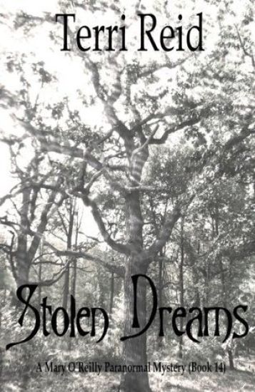 Stolen Dreams - A Mary O'Reilly Paranormal Mystery - Book Fourteen