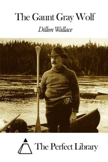 The Gaunt Gray Wolf